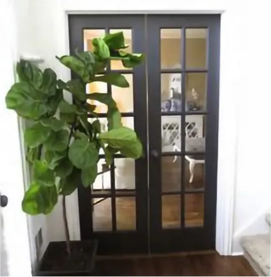 Walnut French door, glazed timber leaf, single or double (FR-013)
