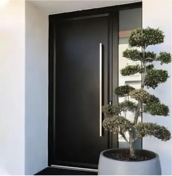 Charcoal interior door, interior leaf: painted, veneered or laminated (IN-040)