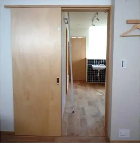 Grey sliding door, sliding leaf on exposed or concealed track (SL-022)